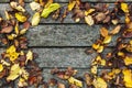 Frame made of autumn dried leaves on old dark wooden vintage background, barn board with moss. Autumn background composition. Fall Royalty Free Stock Photo