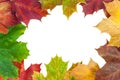 Frame made of autumn maple leaves Royalty Free Stock Photo