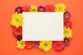 Frame made of beautiful chrysanthemum flowers and blank card on orange background, flat lay. Space for text Royalty Free Stock Photo
