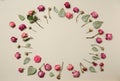 Frame made of beautiful dry roses on light background Royalty Free Stock Photo