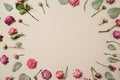 Frame made of beautiful dry roses on light background Royalty Free Stock Photo