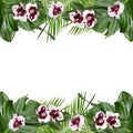 Frame made of beautiful tropical leaves and flowers on white background Royalty Free Stock Photo