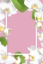 Frame made of branches of white Phalaenopsis orchid flowers, green leaves on pink background. Tropical Floral background, card Royalty Free Stock Photo