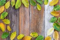Frame made of bright autumn leaves on old wood background Royalty Free Stock Photo