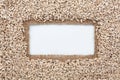 Frame made of burlap and sunflower seeds lies on white background Royalty Free Stock Photo