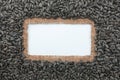 Frame made of burlap and sunflower seeds lies on white background Royalty Free Stock Photo