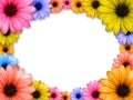 Frame made from colored flowers