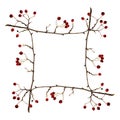 Frame made from dry twigs with red berries Royalty Free Stock Photo