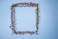 A frame made of flowering branches of fruit trees. Copy space Royalty Free Stock Photo