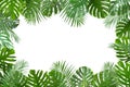 Frame made of fresh green tropical leaves on white background Royalty Free Stock Photo