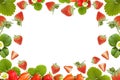 Frame made of fresh group Ripe juicy strawberries and green leaves Royalty Free Stock Photo