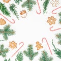 Frame made of gingerbread cookies, winter tree and candy cane on white background. Flat lay. top view. Christmas or New year holid