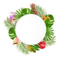 Frame made of green tropical leaves and flowers on white background Royalty Free Stock Photo