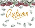 Frame made of hand drawn bunches of rowan and autumn leaves and text Autumn. Autumn illustration vector
