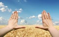 Frame made of hands at wheat field Royalty Free Stock Photo