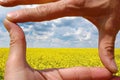 Frame made of hands at wheat field Royalty Free Stock Photo