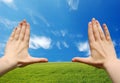 Frame made of hands at wheat green field Royalty Free Stock Photo