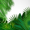 Frame made of leaves on a white background. Jungle tropical