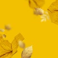 Frame made of orange flying women`s knitted sweater and golden autumn leaves on yellow background. Creative clothing concept, Royalty Free Stock Photo