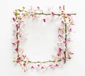 Frame made of orchid flowers. Royalty Free Stock Photo