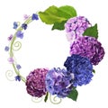 Frame made of pink blue hydrangea, green leaves, branches on white background. Flat lay, top view. Wedding's background