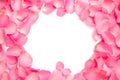 Frame made of pink rose petals on white background, top view Royalty Free Stock Photo