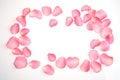 Frame made of pink rose petals on white background, top view Royalty Free Stock Photo