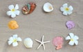 Frame made of plumeria flowers with starfish and seashells on sand. Summer background Royalty Free Stock Photo