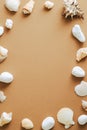 Frame made of seashells on sand color background. Summer, vacation concept. Flat lay, top view, overhead Royalty Free Stock Photo