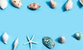 Frame made of starfish and exotic sea shells on blue. Summer background. Concept Royalty Free Stock Photo