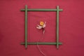 Frame made of stems of flowers, and inside a daffodil flower Royalty Free Stock Photo