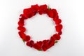 Frame made of velvet red roses petals on white background. Flat lay, Royalty Free Stock Photo