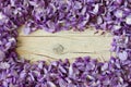 Frame made of violet wisteria flowers on white wooden background