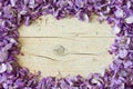 Frame made of violet wisteria flowers on white wooden background