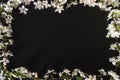 Frame made of white flowers on black background. Top view floral composition. Flat lay arrangement. Spring background