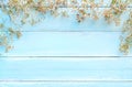 Frame made of white wild flowers on blue wooden background. Royalty Free Stock Photo