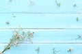 Frame made of white wild flowers on blue wooden background. Royalty Free Stock Photo