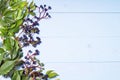 Frame made of wild grapes on blue wooden background. Royalty Free Stock Photo