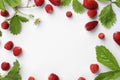 Frame of many fresh wild strawberries, flower and leaves on white background, flat lay. Space for text Royalty Free Stock Photo