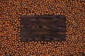Frame of many hazelnuts with shells on brown wooden boards Royalty Free Stock Photo