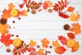 Frame with maple leaves, pine cones, nuts, pumpkins and rowan berries, autumn abstract composition, Thanksgiving concepts,