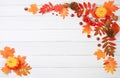 Frame with maple leaves, pine cones, nuts, pumpkins and rowan berries, autumn abstract composition, Thanksgiving concepts,