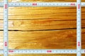 Frame a measuring ruler against texture of a tree