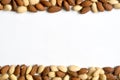 Frame of nuts on a white background. Free space for text.