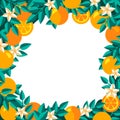 Frame with oranges Royalty Free Stock Photo