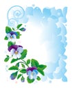 Frame pansy flowers