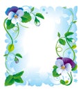 Frame pansy flowers