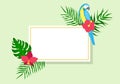 Frame with parrots and palm leaves. Royalty Free Stock Photo