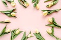 Frame of pastel and yellow tulip flowers bouquet on pink background. Flat lay, top view. Valentine`s background. Floral Royalty Free Stock Photo