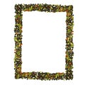 Frame of pepper Royalty Free Stock Photo